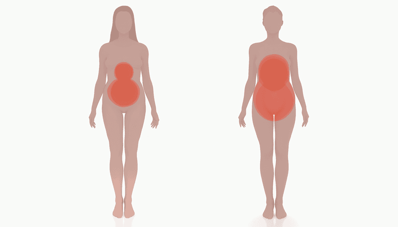 Illustration showing how fat distribution changes during menopause transition