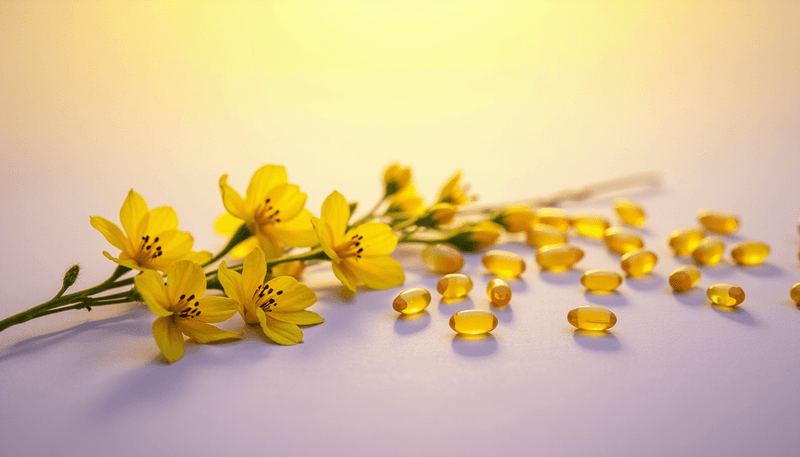 Evening primrose flowers and oil capsules